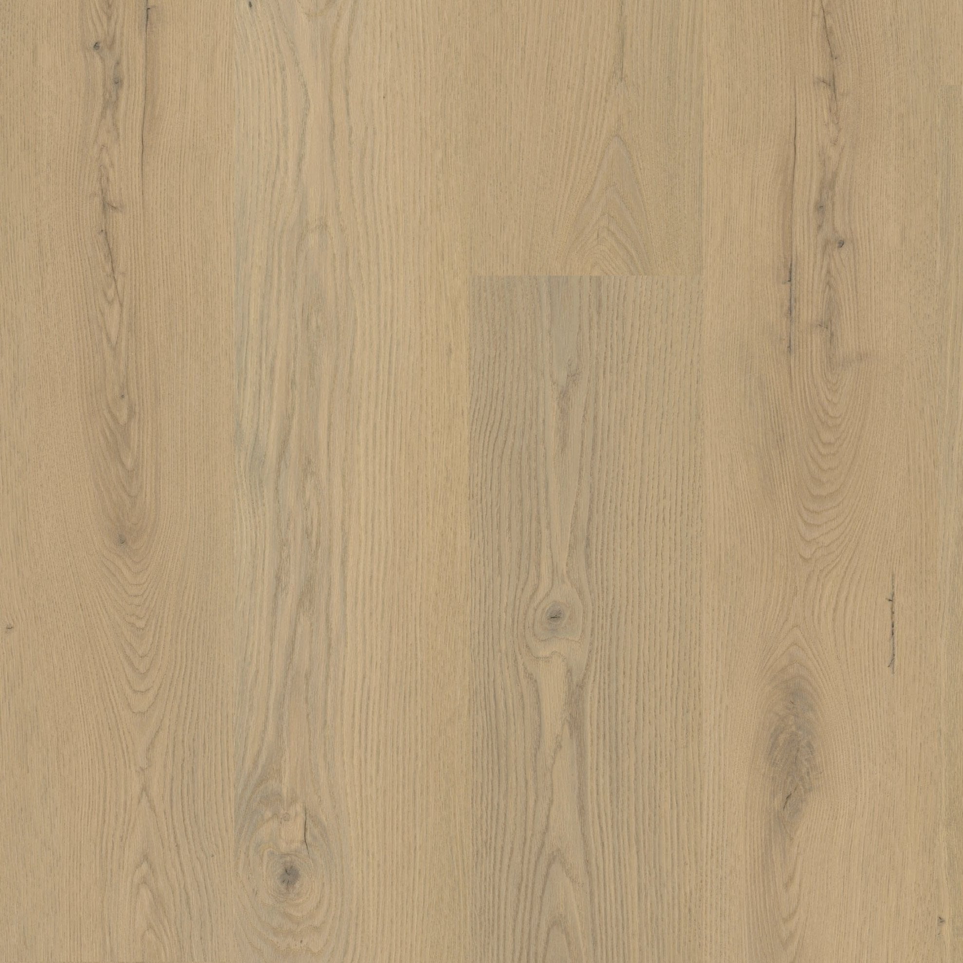 »Light Oak« Premium Klik-PVC