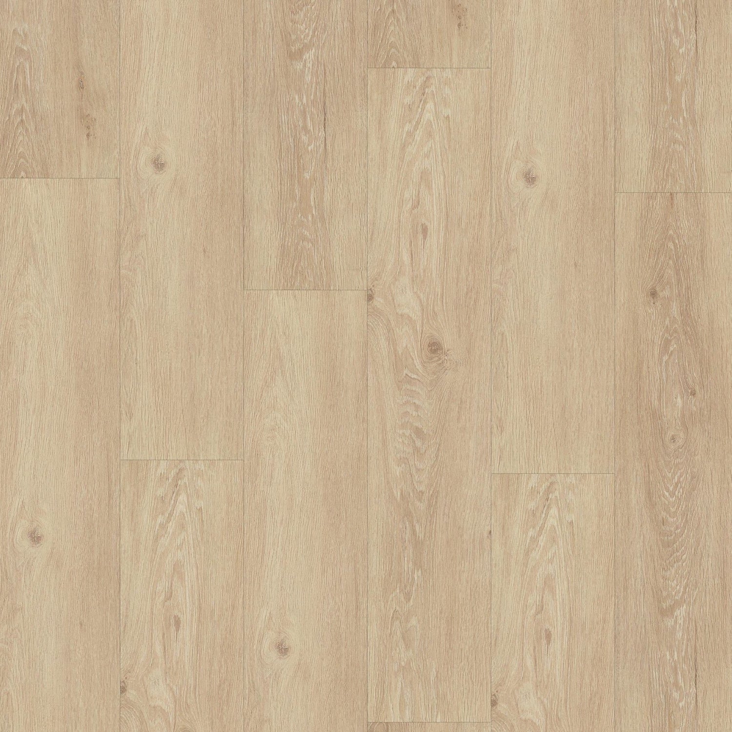  »Cactus Oak« Premium Klick-Vinyl Ultimate Draufsicht