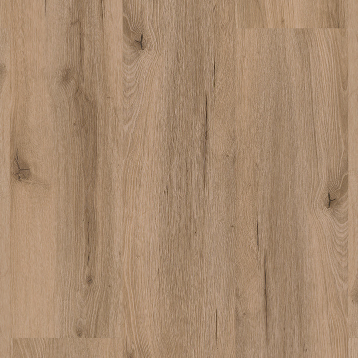 »Eiche Kreta« SPC Vinylboden Unique Holzoptik Draufsicht
