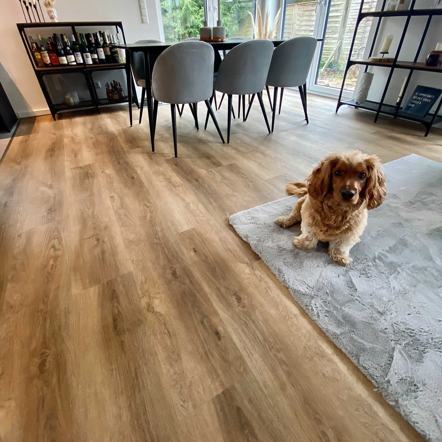 Eiche Apatura Klebevinyl Muster in eingerichtetem Wohnzimmer mit Hund auf Teppich