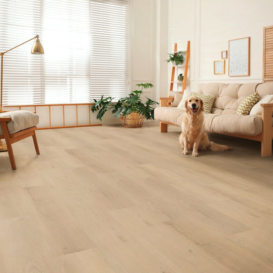 Wohnzimmer mit Klick Vinyl in Eiche hell – LaminatShop24 Laminat Fachhandel und Online Shop
