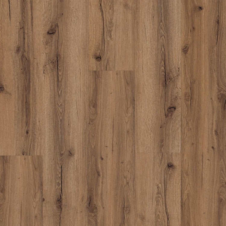 Ginger-Oak_Pyronia_Flaechenansicht_Frontal Draufsicht