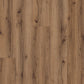 Ginger-Oak_Pyronia_Flaechenansicht_Frontal Draufsicht