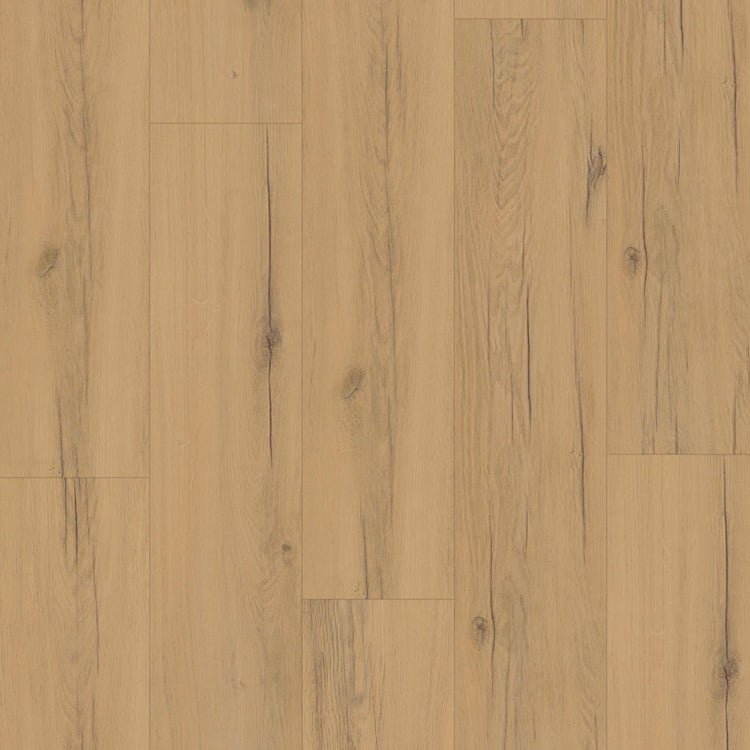 »Grape Oak« Premium Klick-Vinyl Ultimate Draufsicht Holzoptik