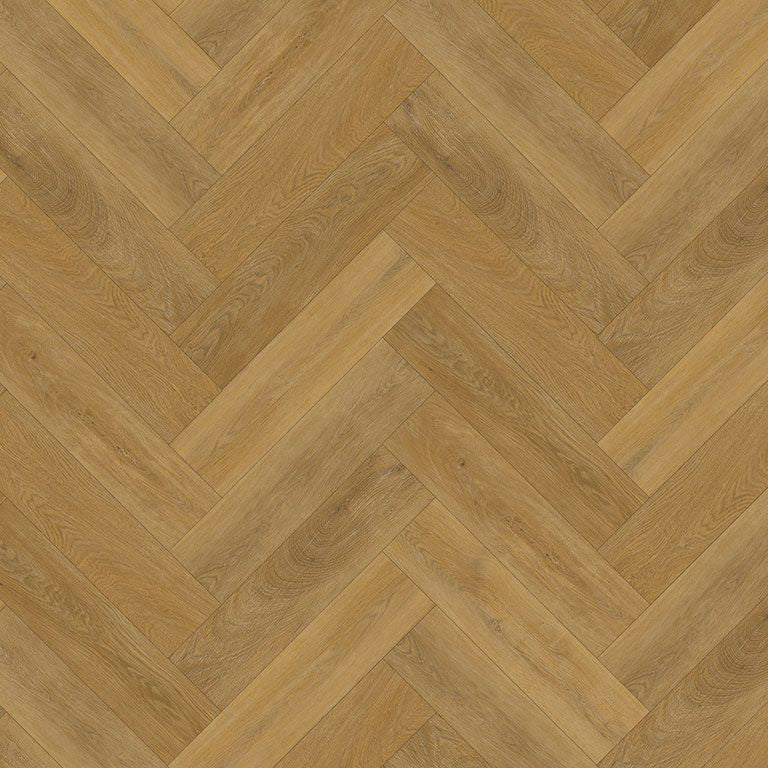 Draufsicht Modernes Fischgerät Design
